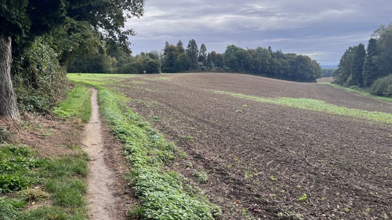 Wald und Feld