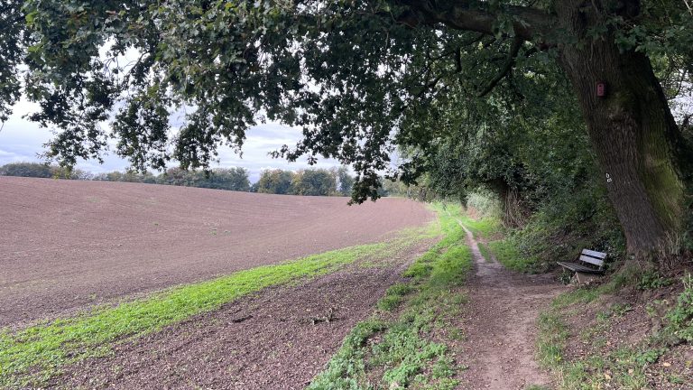 Wald und Feld