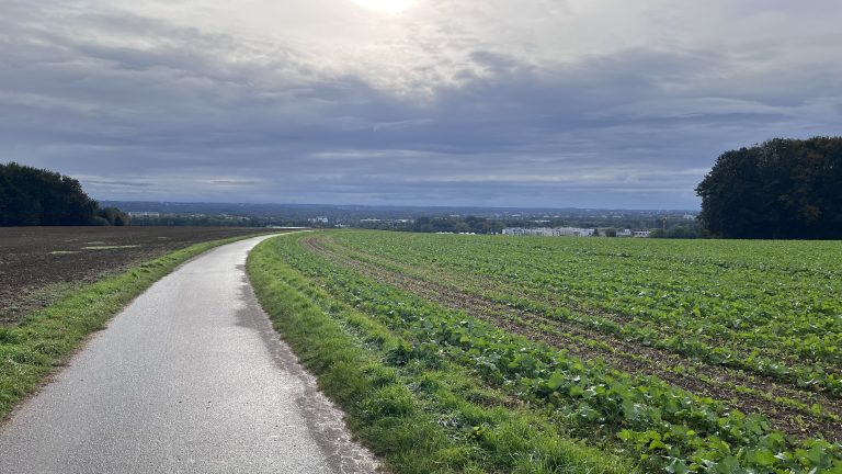 Wald und Feld