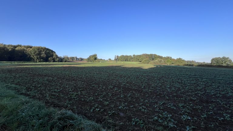 Wald und Feld